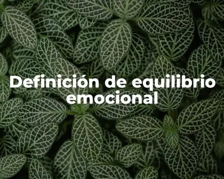 Definición de equilibrio emocional