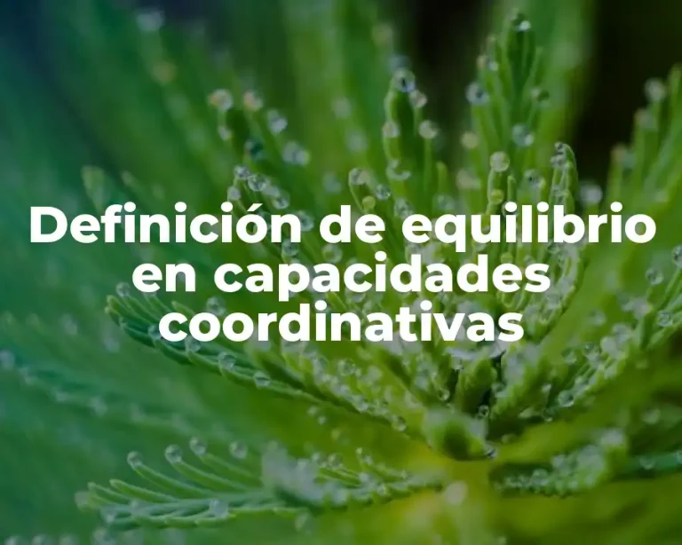 Definición de equilibrio en capacidades coordinativas