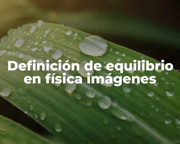 Definición de equilibrio en física imágenes