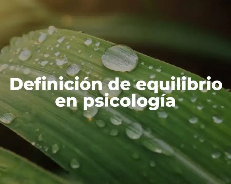Definición de equilibrio en psicología
