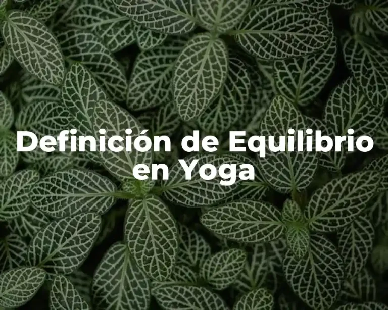 Definición de Equilibrio en Yoga