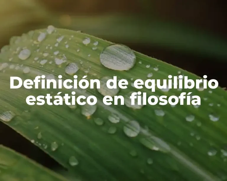 Definición de equilibrio estático en filosofía