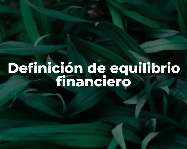 Definición de equilibrio financiero