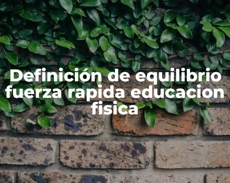 Definición de equilibrio fuerza rapida educacion fisica