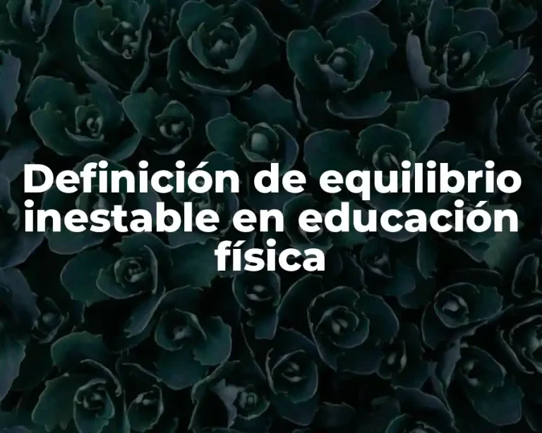 Definición de equilibrio inestable en educación física