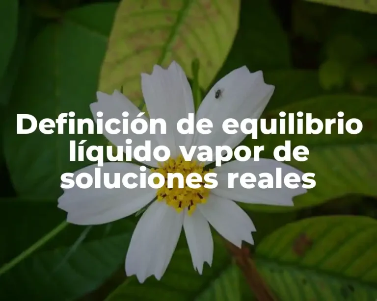 Definición de equilibrio líquido vapor de soluciones reales