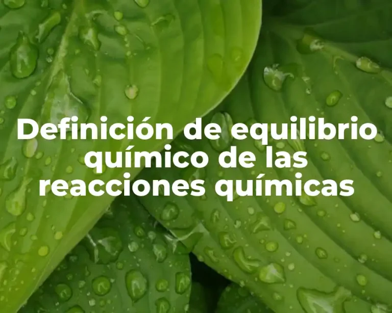 Definición de equilibrio químico de las reacciones químicas