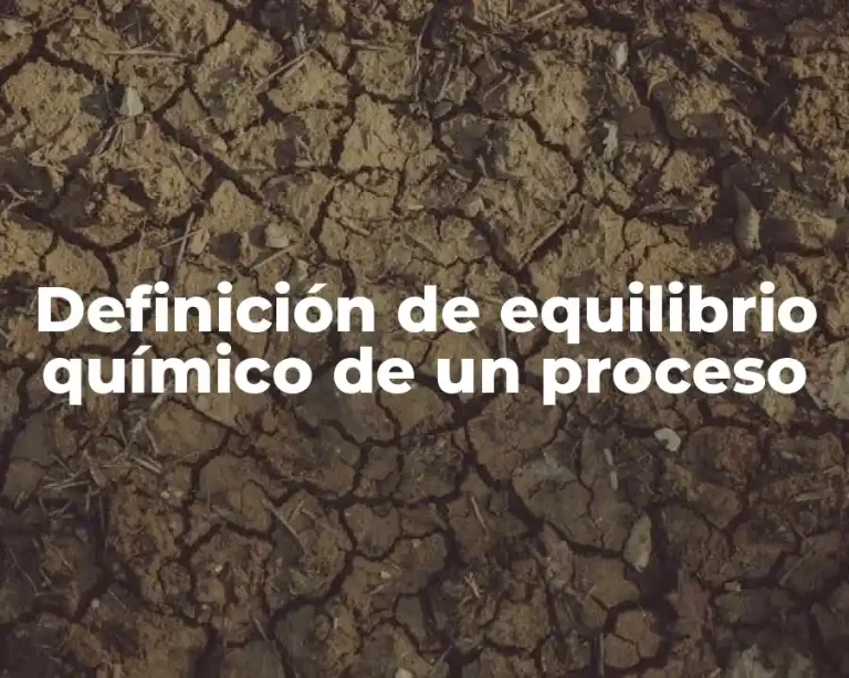 Definición de equilibrio químico de un proceso