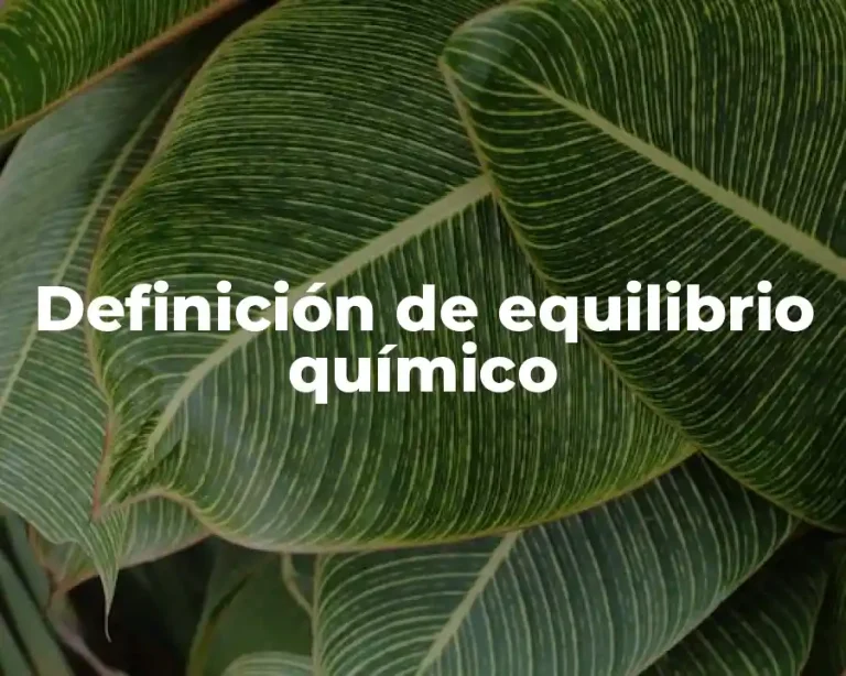 Definición de equilibrio químico