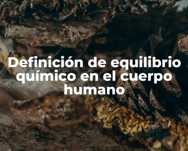 Definición de equilibrio químico en el cuerpo humano