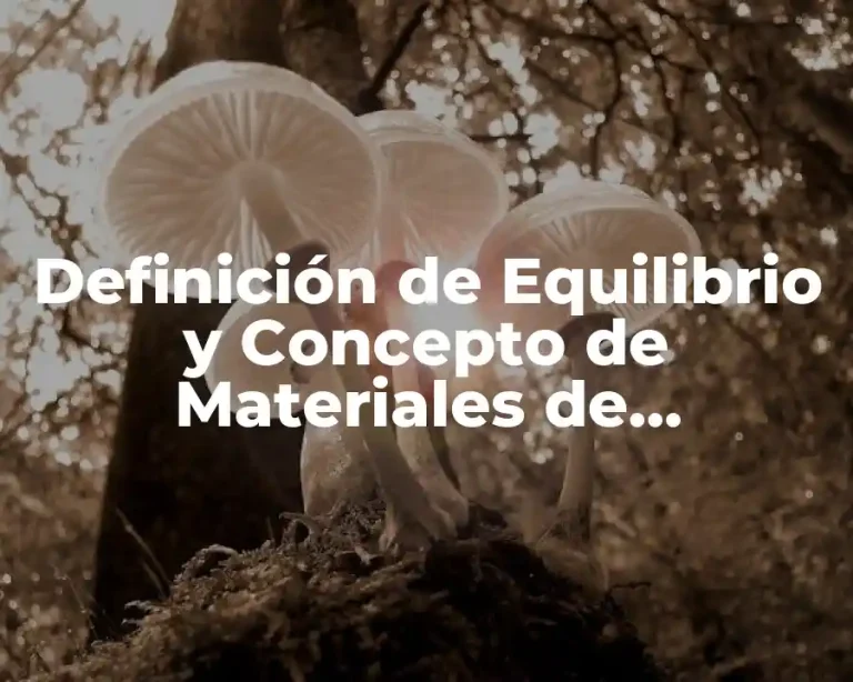 Definición de Equilibrio y Concepto de Materiales de Resistencia