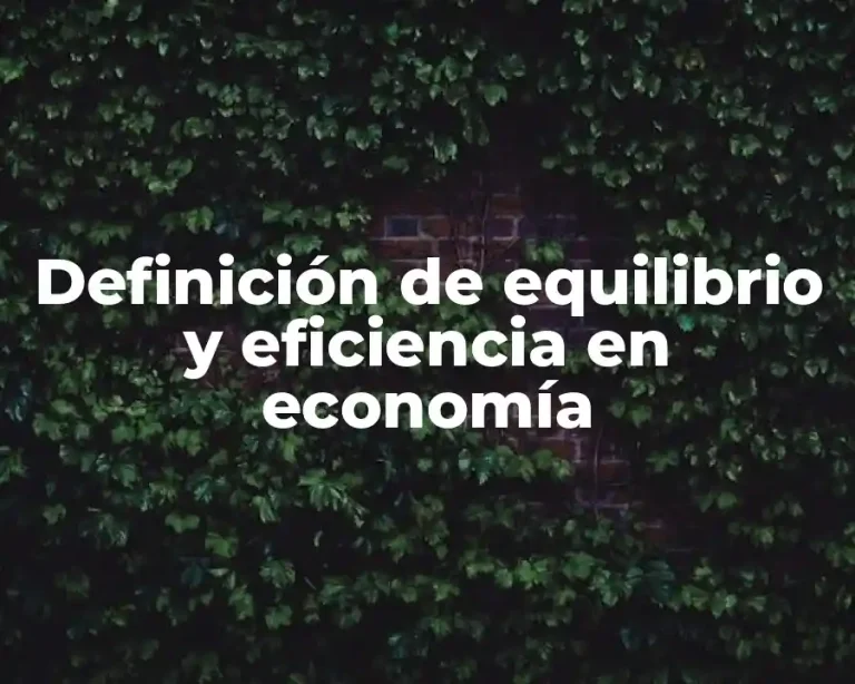 Definición de equilibrio y eficiencia en economía