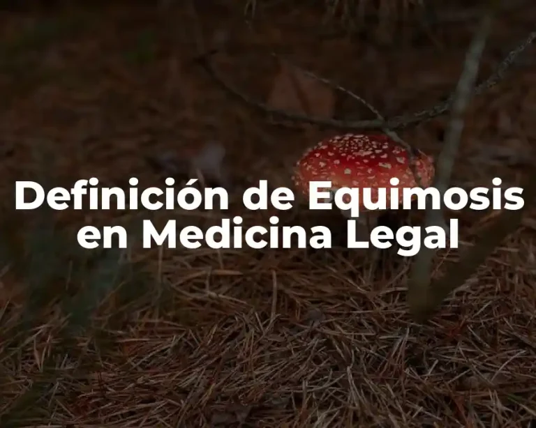 Definición de Equimosis en Medicina Legal