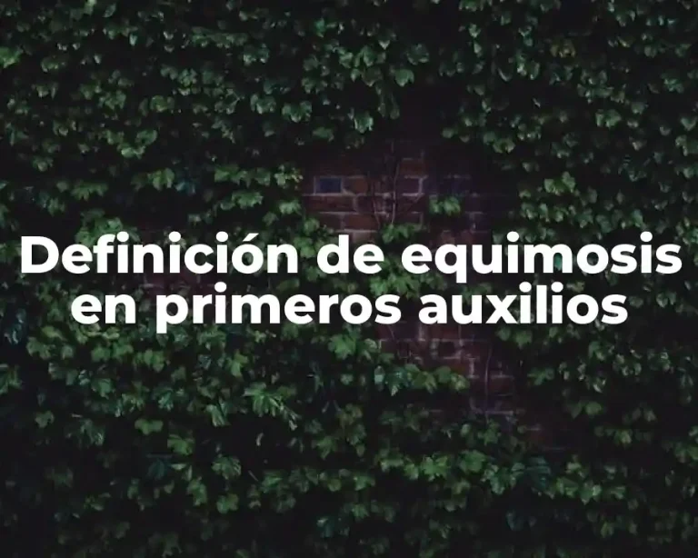 Definición de equimosis en primeros auxilios