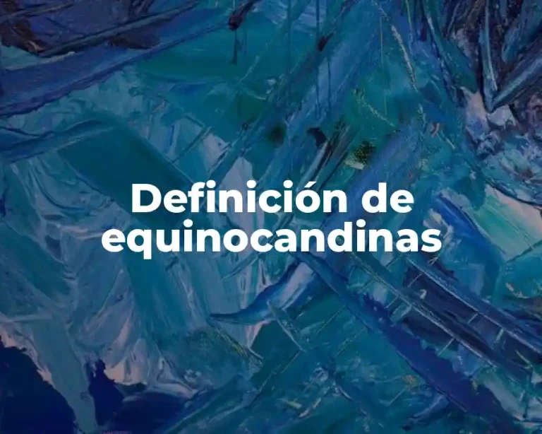 Definición de equinocandinas