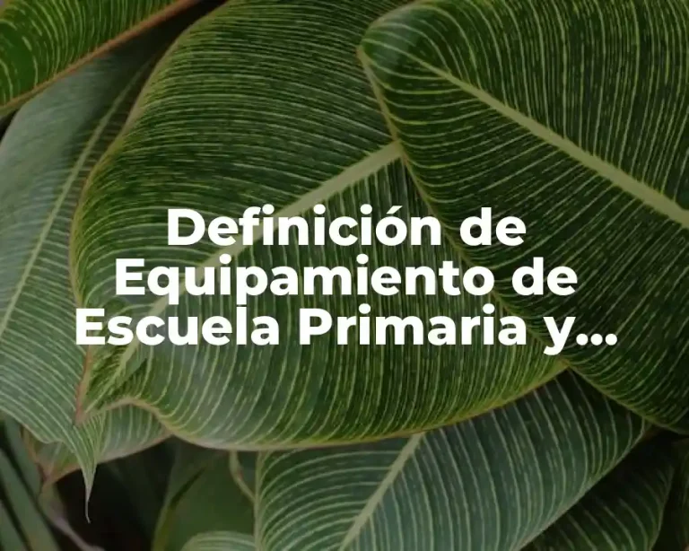 Definición de Equipamiento de Escuela Primaria y Secundaria