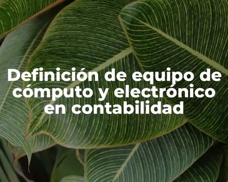 Definición de equipo de cómputo y electrónico en contabilidad