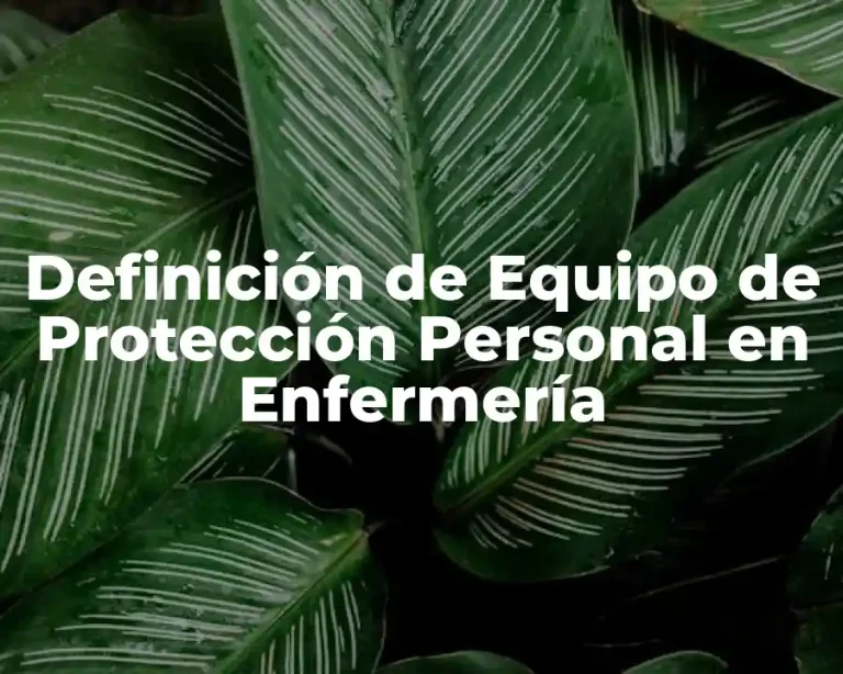 Definición de Equipo de Protección Personal en Enfermería