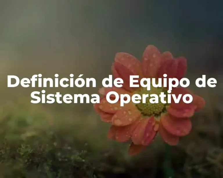 Definición de Equipo de Sistema Operativo