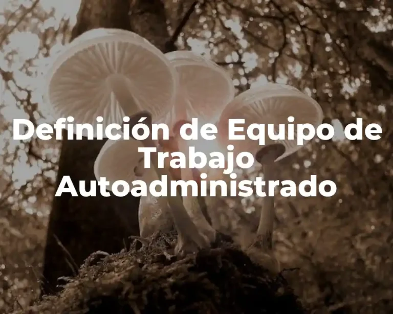 Definición de Equipo de Trabajo Autoadministrado
