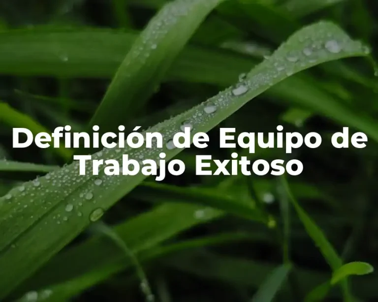 Definición de Equipo de Trabajo Exitoso