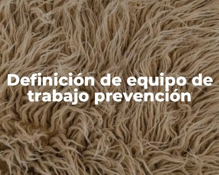 Definición de equipo de trabajo prevención