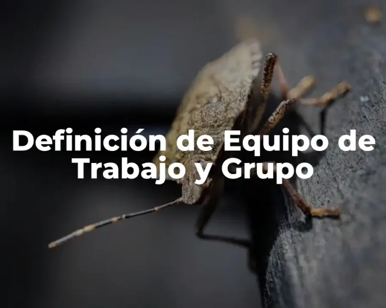 Definición de Equipo de Trabajo y Grupo
