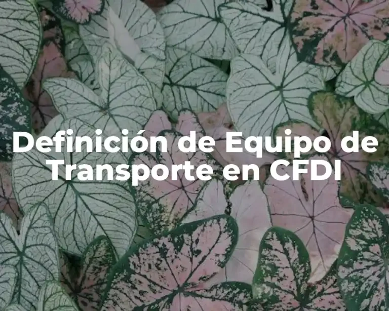 Definición de Equipo de Transporte en CFDI