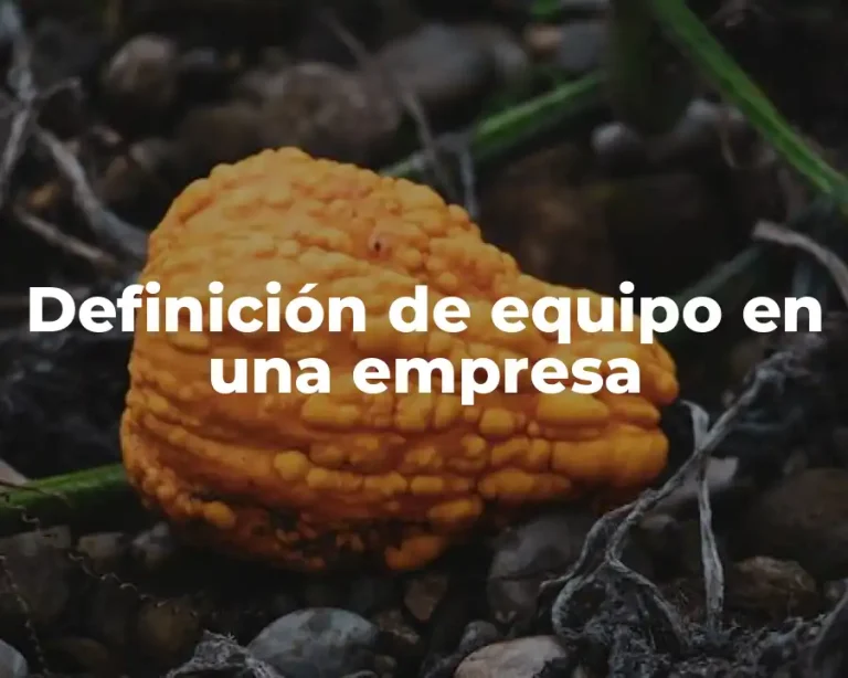 Definición de equipo en una empresa