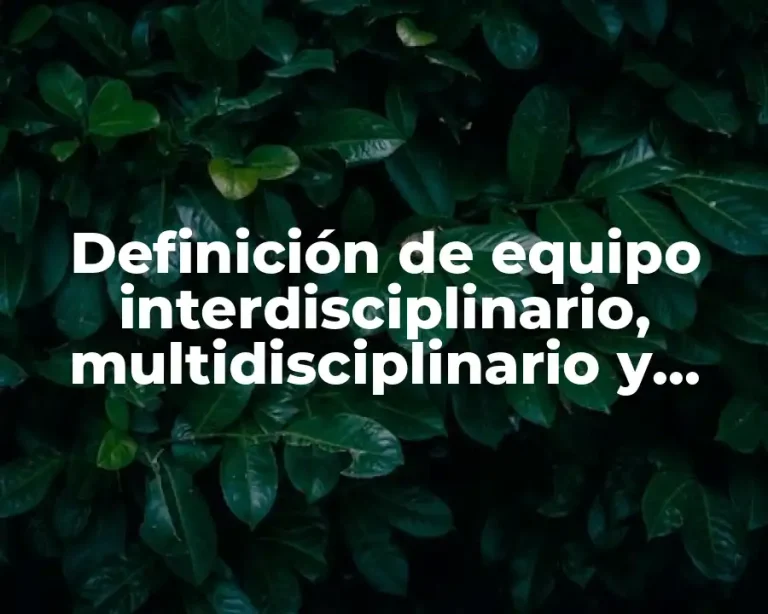 Definición de equipo interdisciplinario, multidisciplinario y transdisciplinario