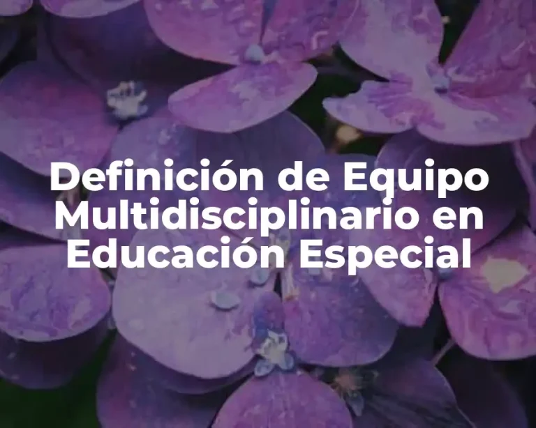 Definición de Equipo Multidisciplinario en Educación Especial