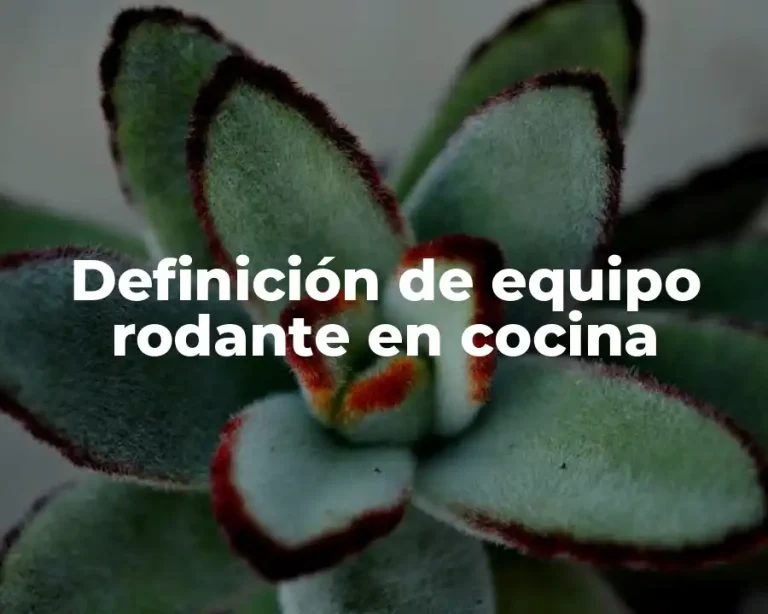 Definición de equipo rodante en cocina