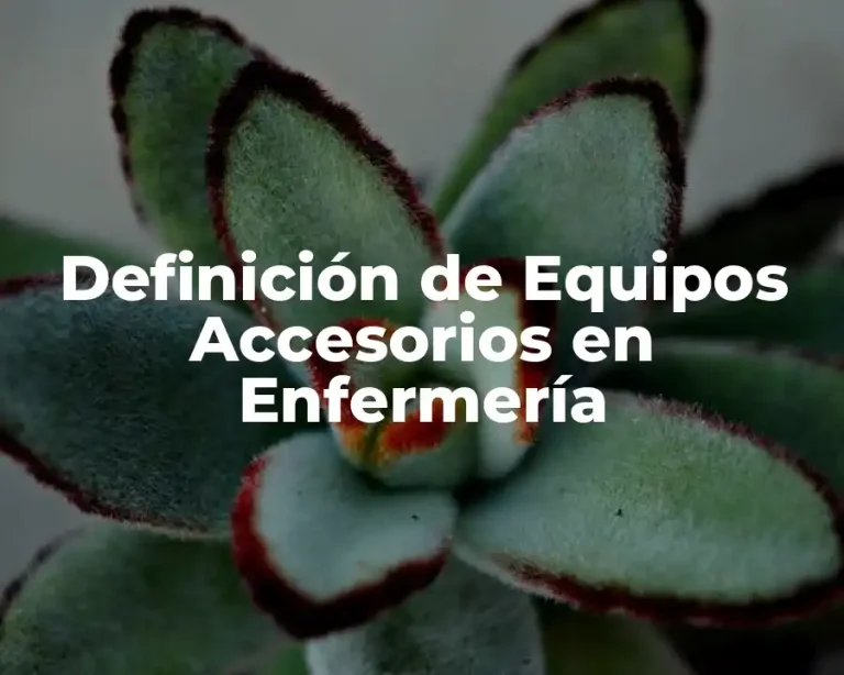 Definición de Equipos Accesorios en Enfermería