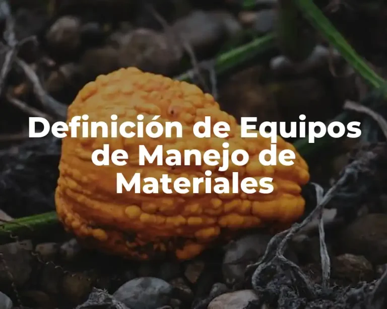 Definición de Equipos de Manejo de Materiales
