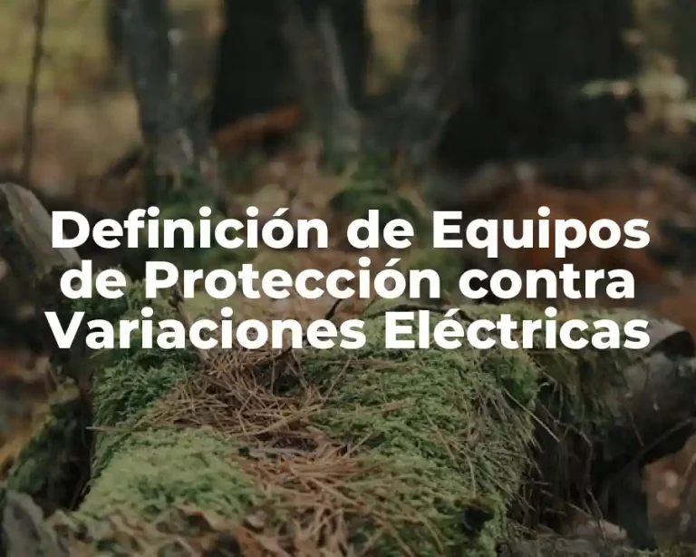 Definición de Equipos de Protección contra Variaciones Eléctricas