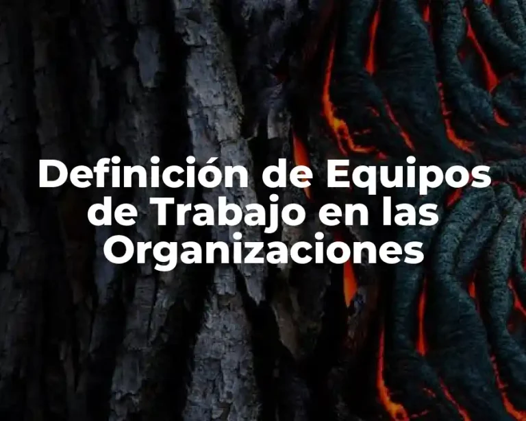 Definición de Equipos de Trabajo en las Organizaciones