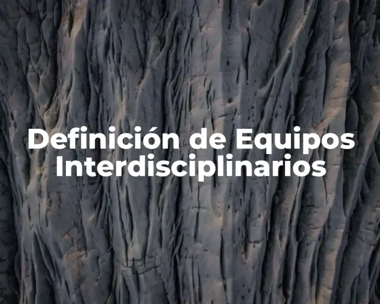 Definición de Equipos Interdisciplinarios