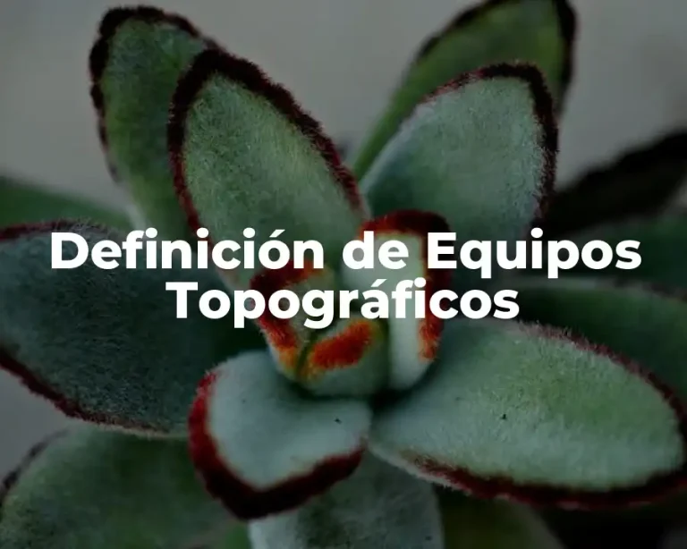 Definición de Equipos Topográficos