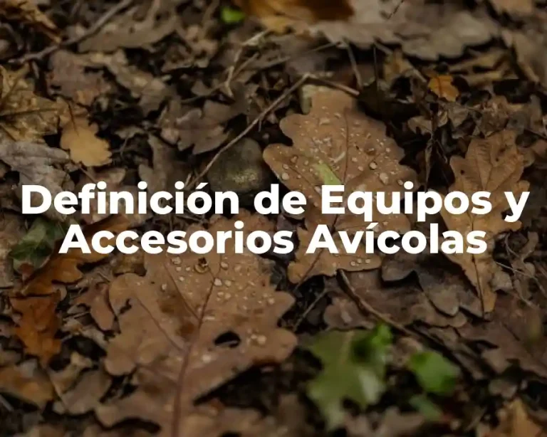 Definición de Equipos y Accesorios Avícolas