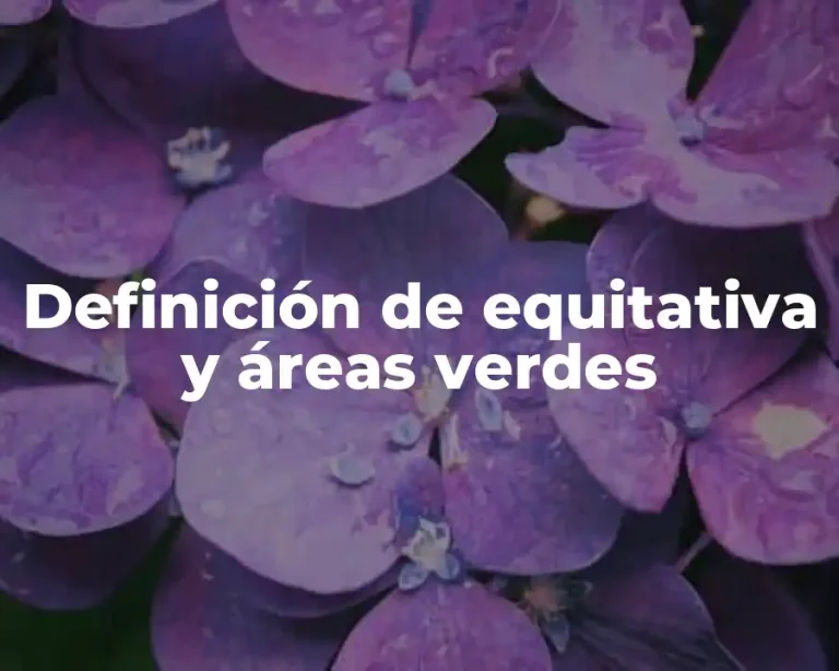 Definición de equitativa y áreas verdes