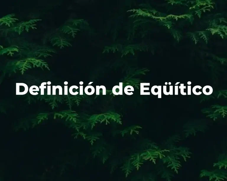 Definición de Eqüítico