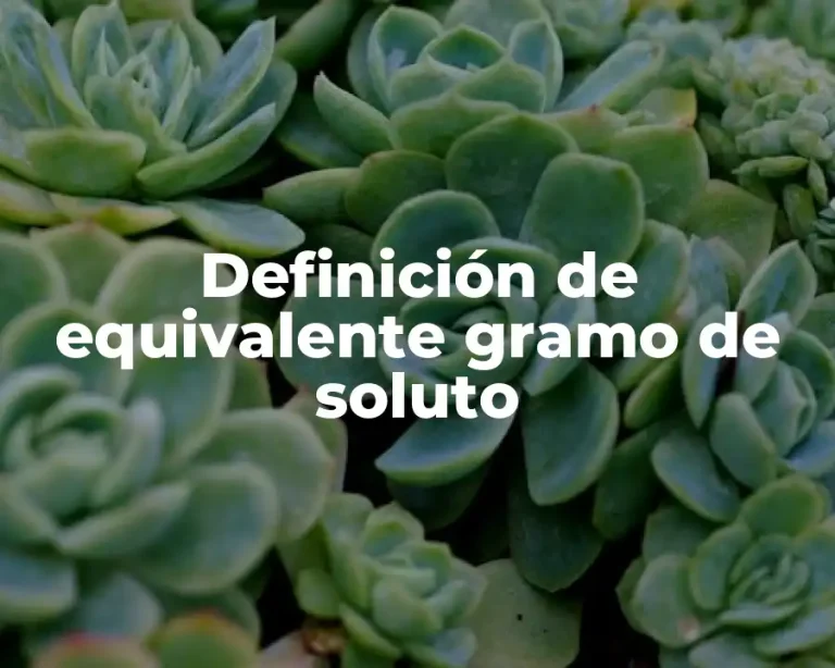 Definición de equivalente gramo de soluto