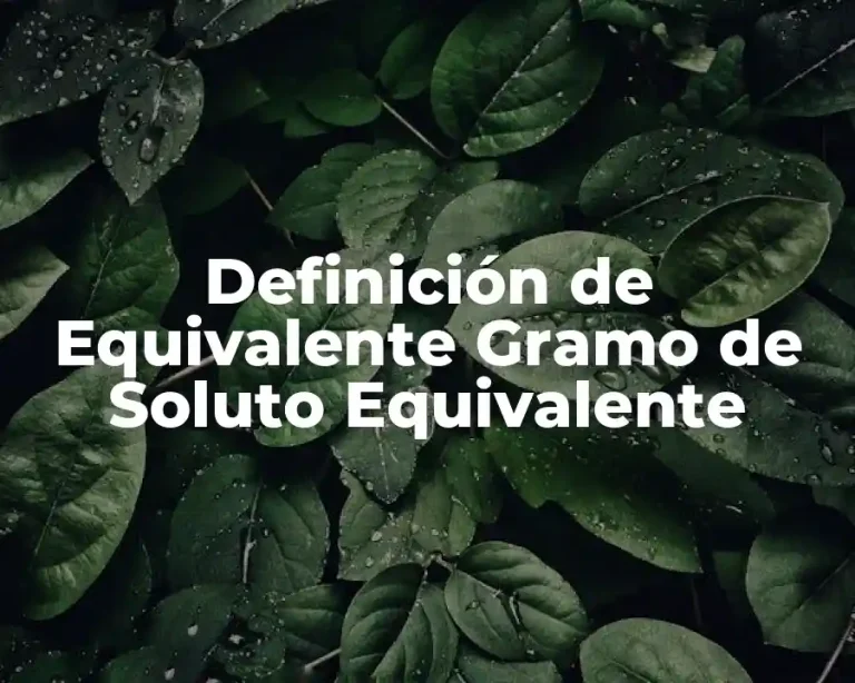 Definición de Equivalente Gramo de Soluto Equivalente