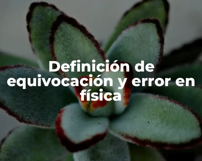 Definición de equivocación y error en física