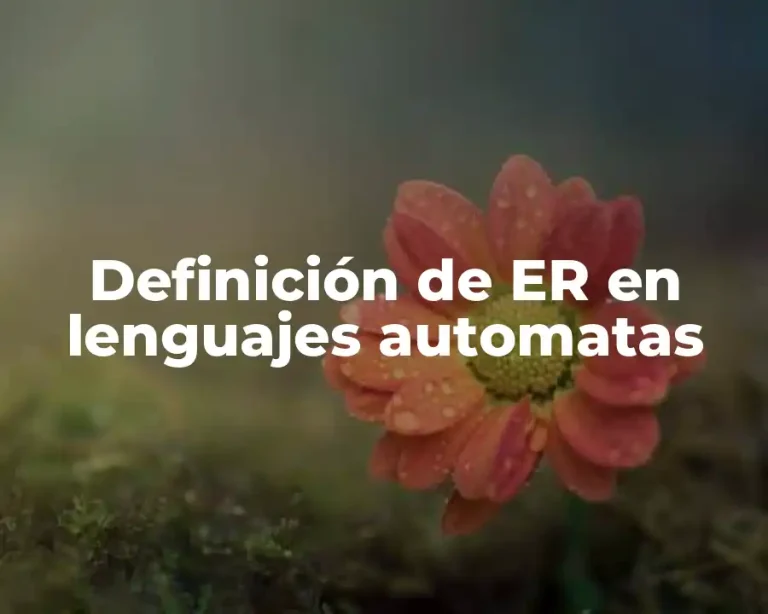 Definición de ER en lenguajes automatas