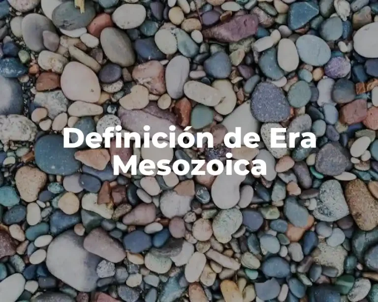 Definición de Era Mesozoica