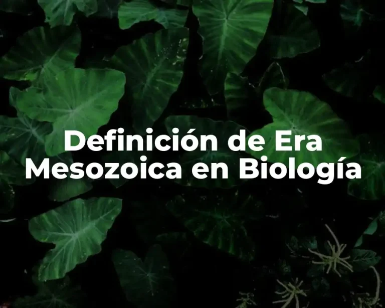 Definición de Era Mesozoica en Biología
