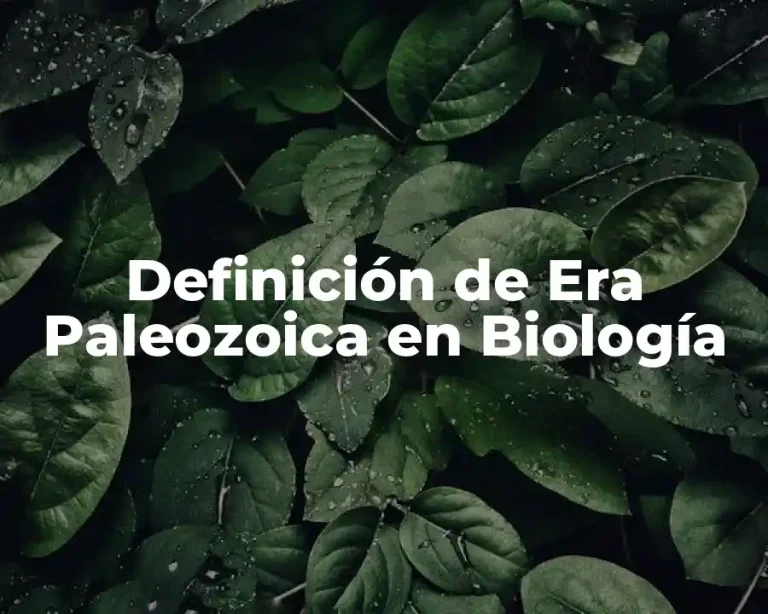 Definición de Era Paleozoica en Biología