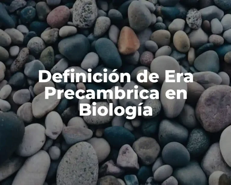 Definición de Era Precambrica en Biología