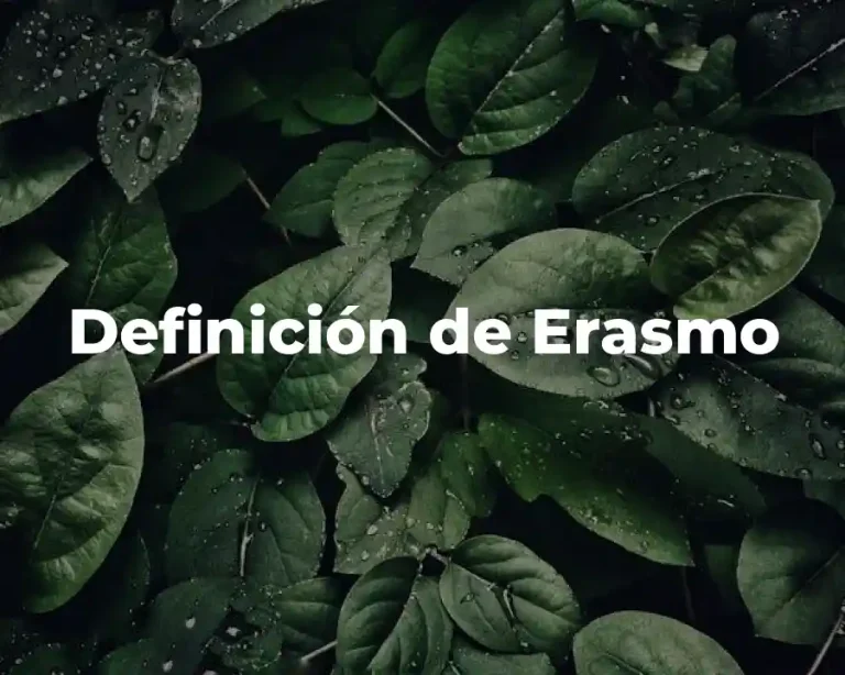 Definición de Erasmo